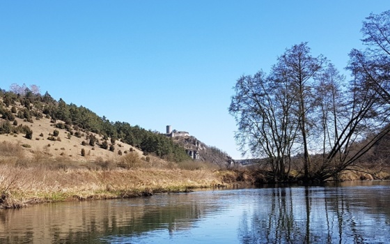 auf der Vils hinunter bis nach Traidendorf